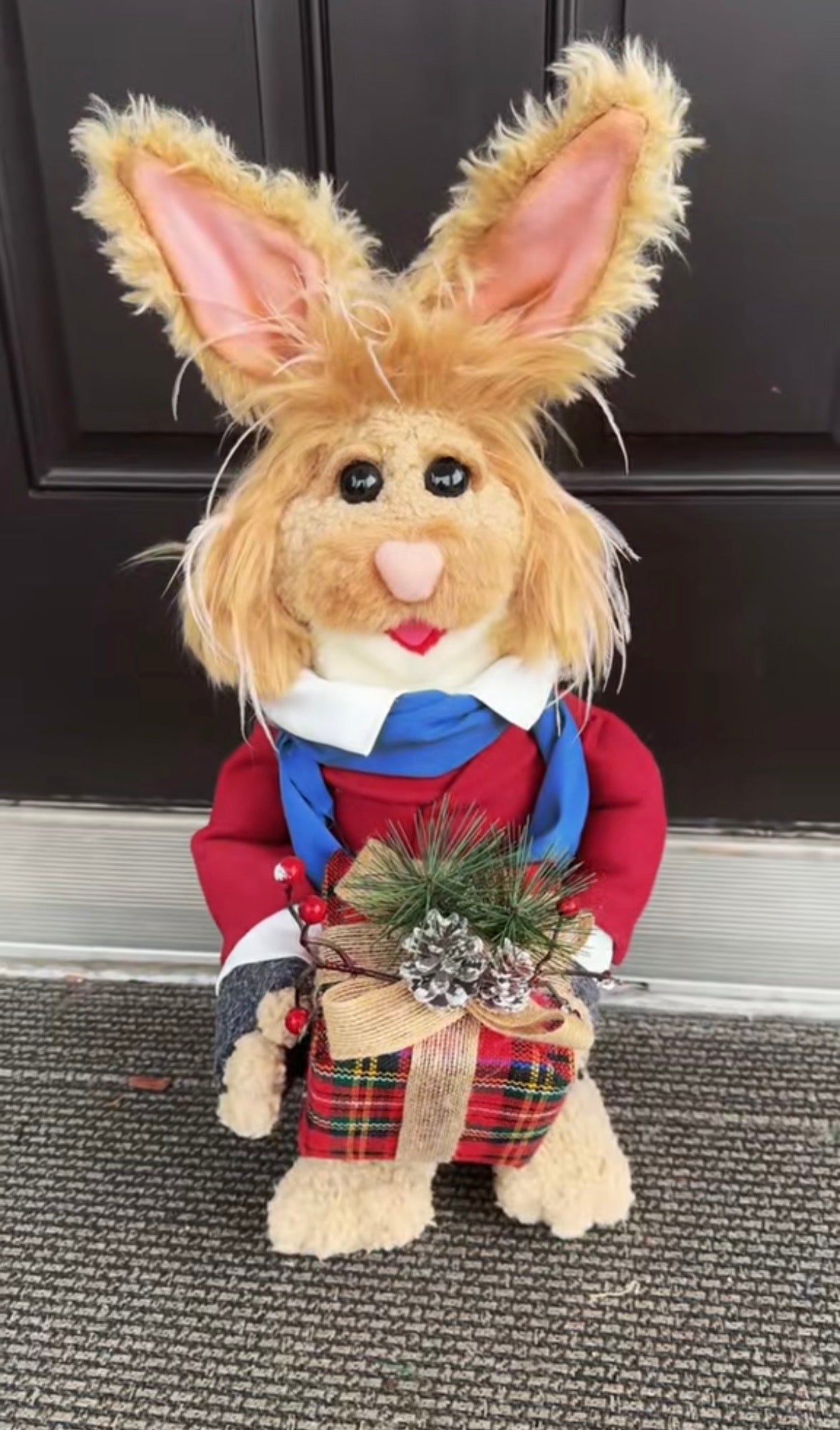 Bean Bunny – Handcrafted Character Puppet