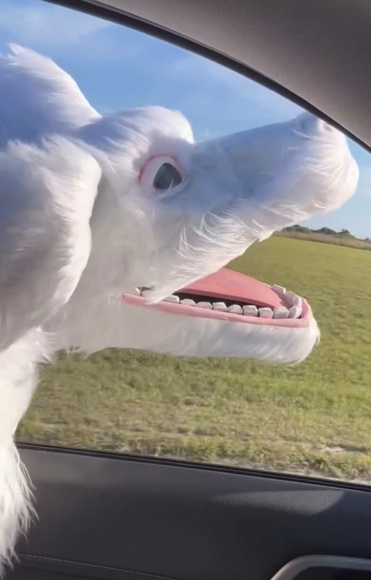 Falkor Puppet - Character Puppet Build